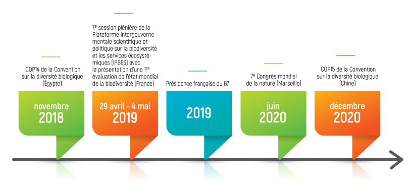 Frise chronologique événements internationaux biodiversité 2018-2020