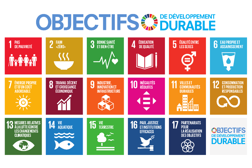 Les objectifs de développement durable (ODD)