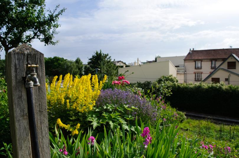 Jardins familiaux du tram Val-de-Seine