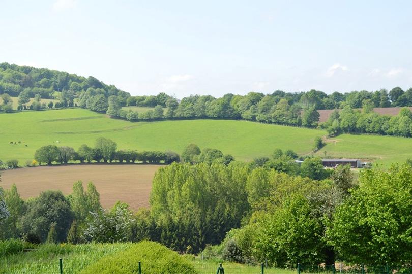 Bocage mortainais