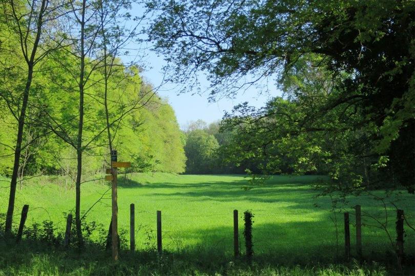 Paysage dans les vallons de l’ouest lyonnais 